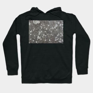 Lichen Pattern Hoodie